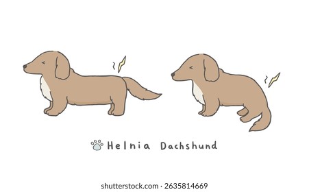 Dachshund with herniated disc, dogs with hernia back pain