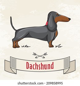 Dachshund Hunting Cute Dog. Vector Cartoon Illustration.