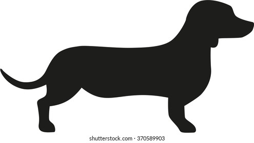 Dachshund icon