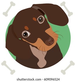 Dachshund, icon, logo, symbol, dog.