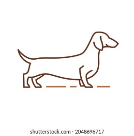 Dachshund icon, purebred dog mascot, pedigree friendly pets sign. Outline hand drawn vector illustration for logo identity of veterinary clinic, pet store products, isolated on white background.
