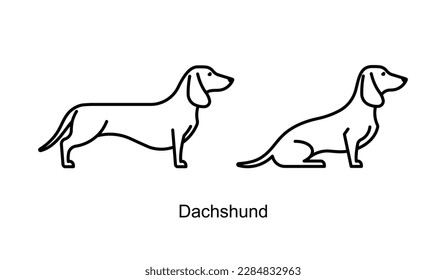 Juego de iconos de Dachshund. Perro posa diferente - de pie y sentado. Perro pequeño Purebred, signos de estilo minimalista. Golpes editables, línea delgada. Para etiqueta, tienda de mascotas, tienda de nutrición para perros.