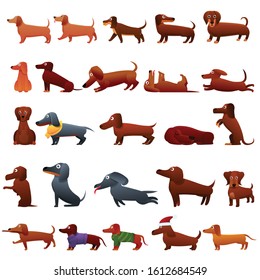 Dachshund icons set. Cartoon set of dachshund vector icons for web design
