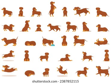 Dachshund icons set cartoon vector. Dog animal. Happy cute pet sit