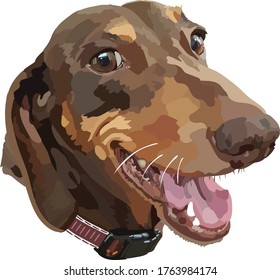 Dachshund illustration smiling and looking happy