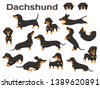 dachshund cartoon
