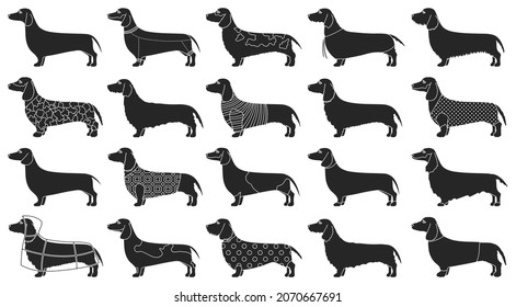 Dachshund isolated black set icon. Vector illustration dog on white background. Vector black set icon dachshund.