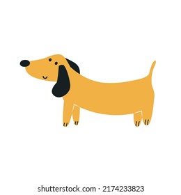 dachshund isolated doodle on white background. Editable clip art for design of baby products, dog food advertising, toys and veterinary. Vector illustration, hand drawn
