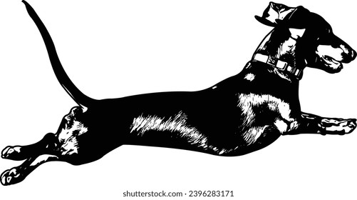 dachshund jumping, sketch silhouette - vector