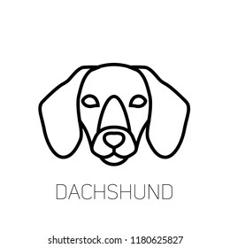 Dachshund linear face icon.  Isolated outline dog head vector 