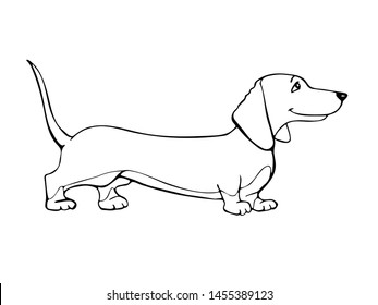 sausage dog drawing