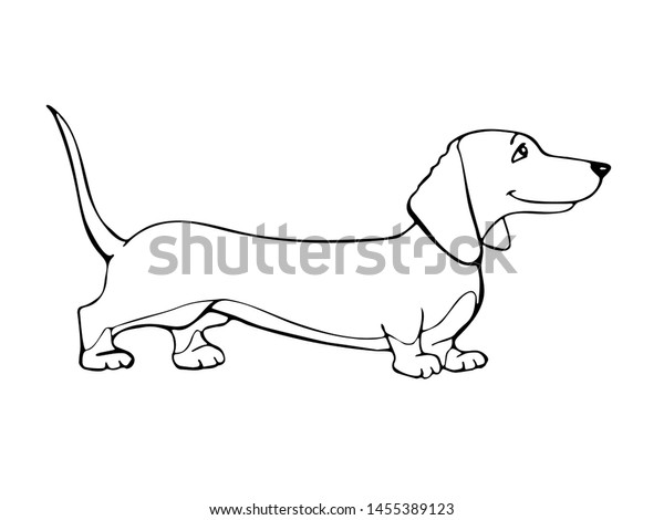 Dachshund Linear Icon Isolated Vector Illustration Stock Vector ...