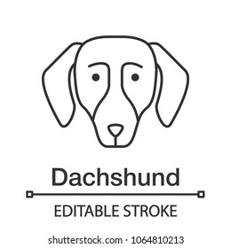 Dachshund linear icon. Thin line illustration. Hotdog. Hound dog breed. Contour symbol. Vector isolated outline drawing. Editable stroke