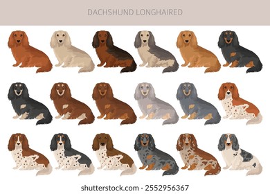 Clipart de cachorro de cabelo comprido Dachshund. Diferentes cores de casaco definido.  Ilustração vetorial