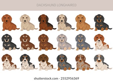 Dachshund Clipart de perro de pelo largo. Conjunto de diferentes colores de pelaje.  Ilustración vectorial