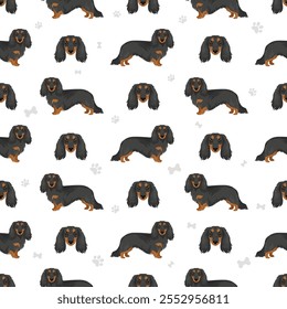 Dachshund perro de pelo largo sin patrón. Conjunto de diferentes colores de pelaje.  Ilustración vectorial