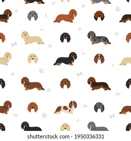 Dachshund long haired seamless pattern. Different poses, coat colors set.  Vector illustration