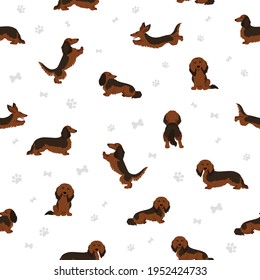 Dachshund long haired seamless pattern. Different poses, coat colors set.  Vector illustration