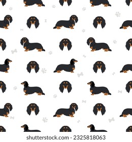 Dachshund long haired seamless pattern. Different poses, coat colors set.  Vector illustration svg