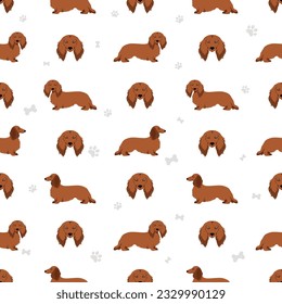 Dachshund long haired seamless pattern. Different poses, coat colors set.  Vector illustration svg
