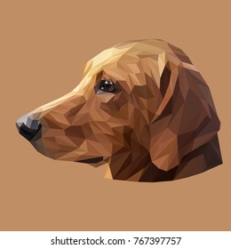 Dachshund low poly design. Triangle vector illustration.