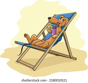 dachshund tendido en el sublecho. 