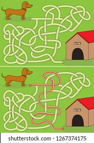 Dachshund maze for kids with a solution