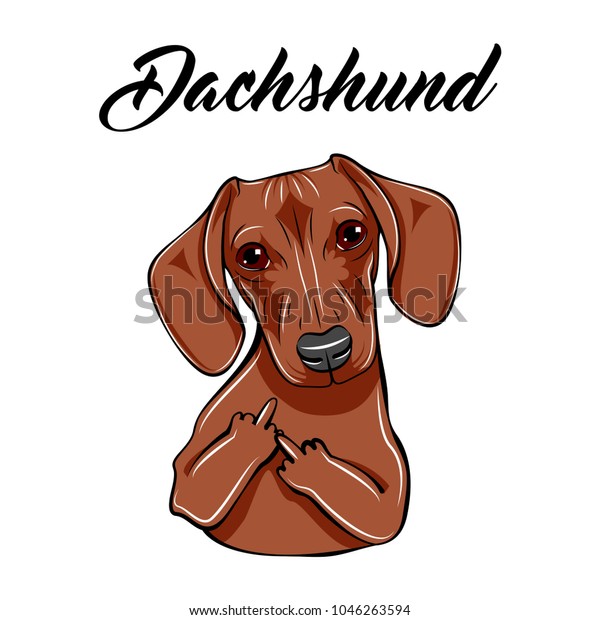 ダックスフント中指のジェスチャー 身振り手振りの犬 ベクターイラスト ダックスフント文字 のベクター画像素材 ロイヤリティフリー ダックスフント中指のジェスチャー 身振り手振りの犬 ベクターイラスト ダックスフント文字 のベクター画像素材 ロイヤリティフリー