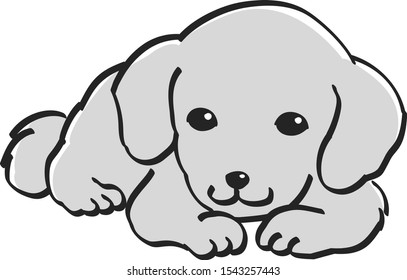 Dachshund monochrome monochrome cute puppy popular dog