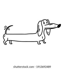 Dachshund. Nice dog. Coloring. Doodle icon. Vector illustration of a dog. Editable element.