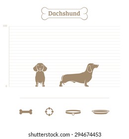 Dachshund on the dimensional scale. Items for dogs. Face and profile. Vector illustration.