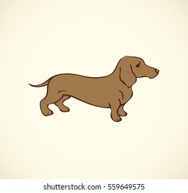 Dachshund on white backdrop. Ink hand drawn picture in retro style. Closeup view with space for text