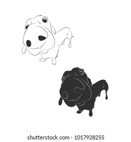 Dachshund on a white background, the contour and silhouette