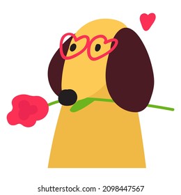 Dachshund with one red rose. Hand drawn vector illustration on Valentine's day.