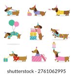 Dachshund Party Set Cute Dogs with Cake Balloons and Gifts
