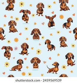 Dachshund Pattern. Seamless, fabric pattern, Vector