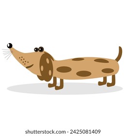 Dachshund. Pet. For a children's book. Isolated object. Flat design. Vector Illustration