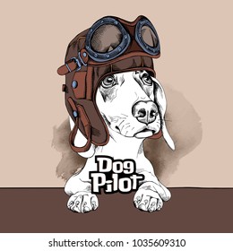 Dachshund in a pilot helmet and glasses. Vector illustration.