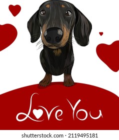 Dachshund portrait fine art, t-shirt, logo colorful illustration. Cute dog face portrait, pop art style, St Valentine's day, birthday cards, anniversary card, holidays. Dog with hearts, love you doxie