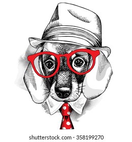 Dachshund portrait in hat with glasses and red tie. Vector illustration.