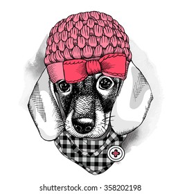 Dachshund portrait in a pink knitted hat with cravat. Vector illustration.