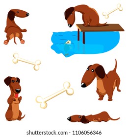 Dachshund poses set. Dog sitting and look at the fish. Dog lies. Cute dachshund dog set. Happy dog illustration.