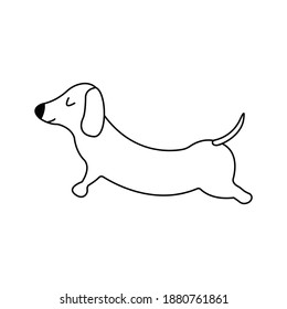 Dachshund practices yoga back bending. Yoga dog, relaxation and sports. Vector isolated doodle illustration. Hand drawn animal black and white