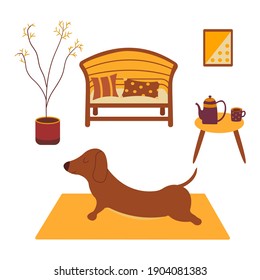 Dachshund practices yoga back bending on yoga mat. Yoga dog, relaxation and sports. Kettle and cup of tea. Painting on the wall, potted plant, sofa and pillows. Room interior. Vector cartoon colorful 