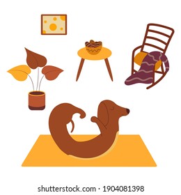 Dachshund practices yoga back bending on yoga mat. Yoga dog, relaxation and sports. Bowl of cookies. Rocking chair and plaid, potted plant, painting on the wall. Room interior. Vector cartoon animal