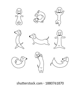 Dachshund practices yoga and meditates. Set Yoga dog, relaxation and sports. Different poses for training. Vector isolated doodle illustration. Hand drawn animal black and white