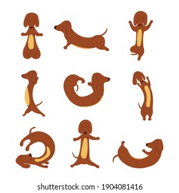 Dachshund practices yoga and meditates. Set Yoga dog, relaxation and sports. Different poses for training. Vector isolated colorful cartoon illustration. Hand drawn animal