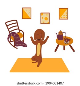 Dachshund practices yoga and meditates standing on one paw on yoga mat. Yoga dog, relaxation. Kettle and cup of tea. Rocking chair and plaid. Three paintings.Room interior. Vector cartoon animal color