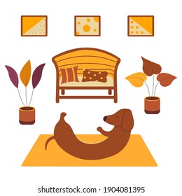 Dachshund practices yoga, pump the press on yoga mat. Yoga dog. On the wall hang three paintings, potted plant standing on the floor, sofa and pillows. Room interior. Vector colorful isolated cartoon