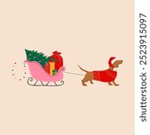 A dachshund pulls a sleigh with a Christmas tree and presents. Merry Christmas